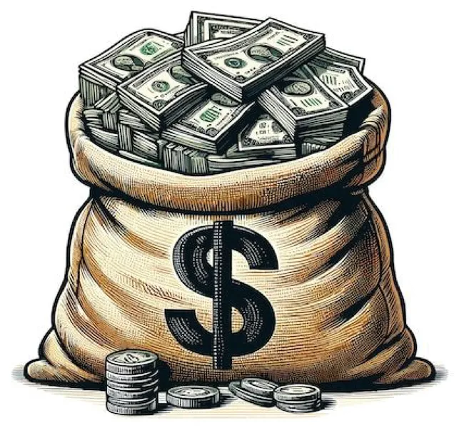 Bolsa de dolares