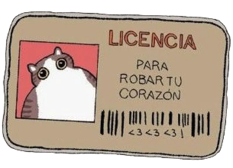 Gato roba corazones