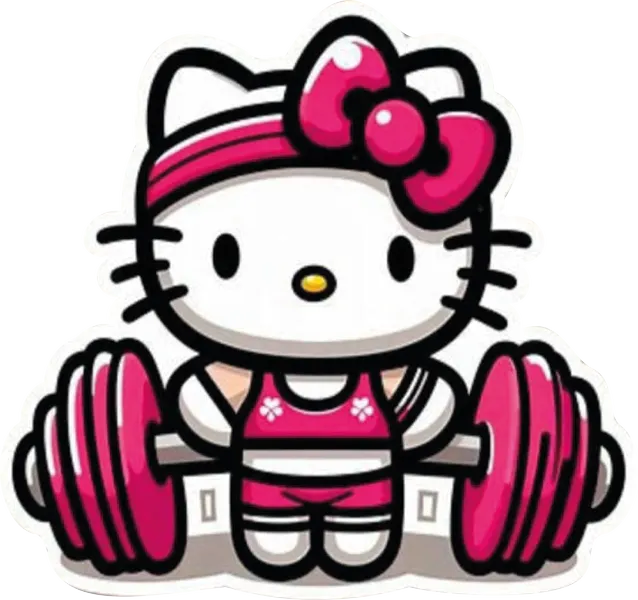 Kitty Gym