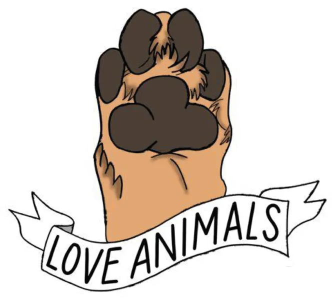 Love Animals