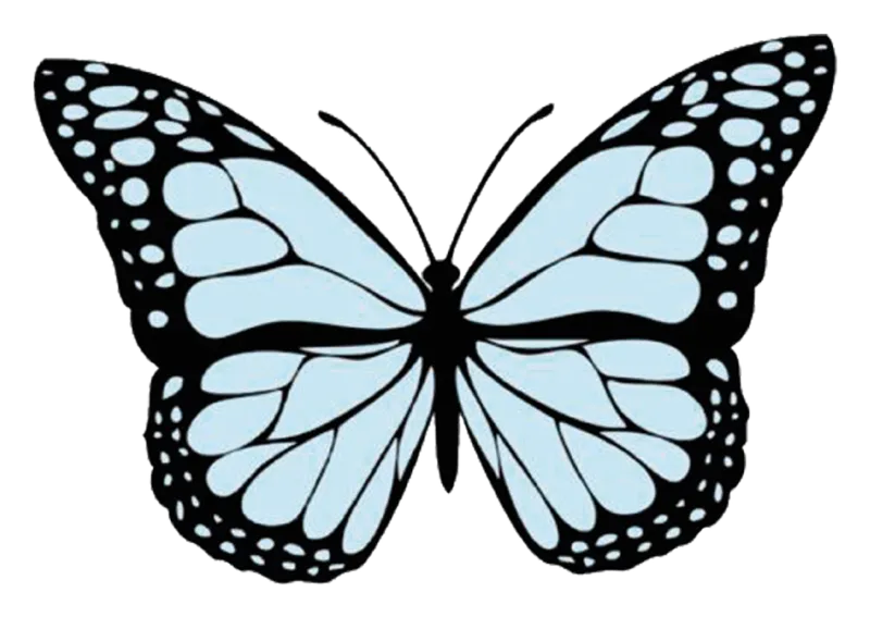 Mariposa celeste