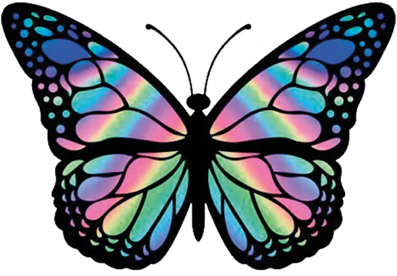 Mariposa psicodélica